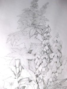 beatrice's garden sketch