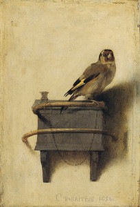 the goldfinch_327px-Fabritius-vink